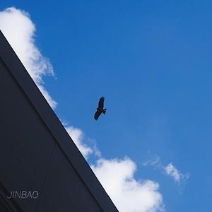 婷婷六月天激情
